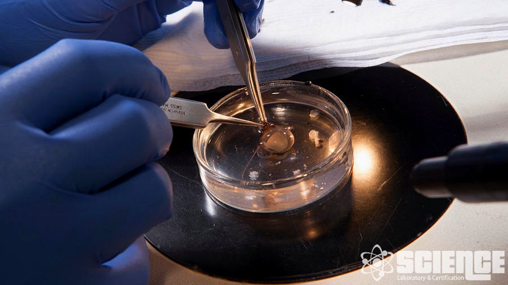 Klinik Toplu Serbest Bırakma