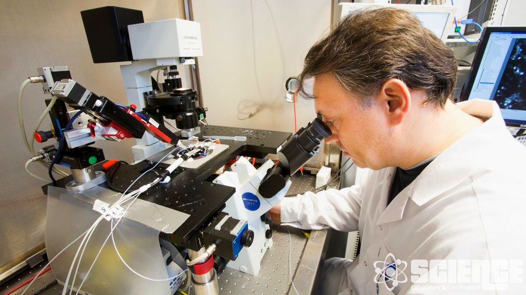 Korozyon Arıza Analizi