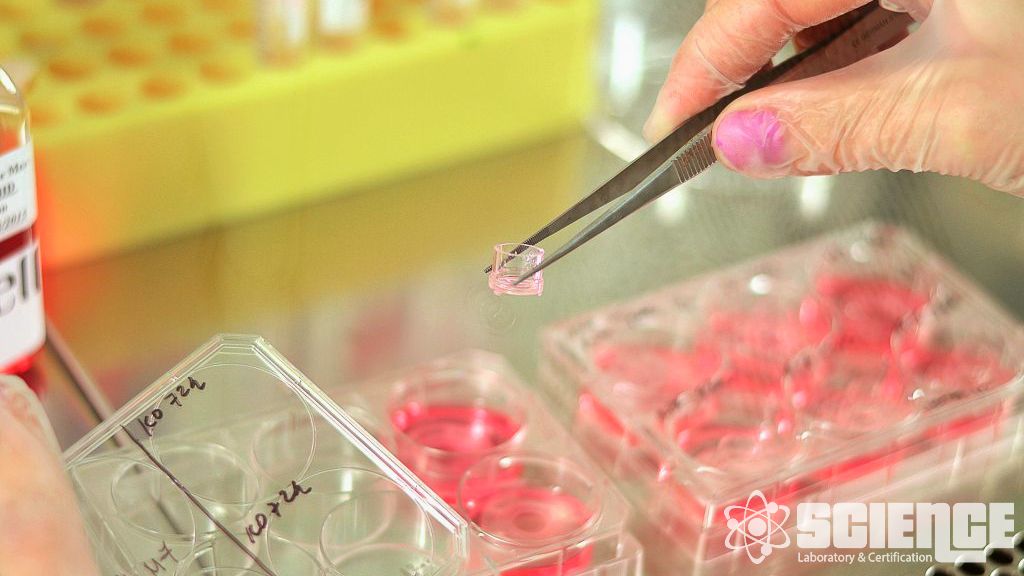 Kozmetik Ürünlerde Ağır Metal Testi ve Element Analizi