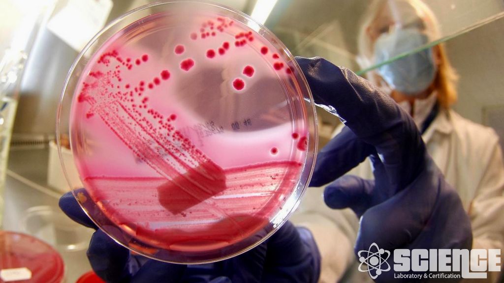 Kumaşlar için Çekme ve Yırtılma Dayanımı Testleri