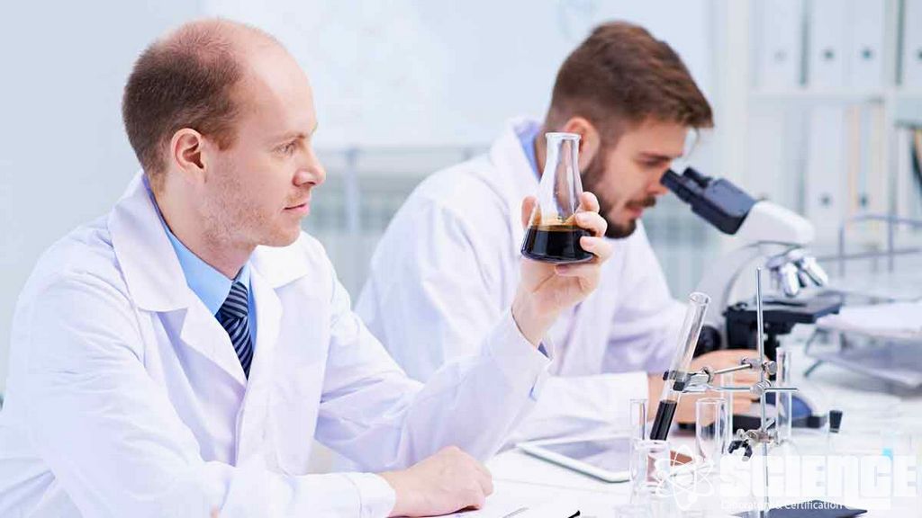 Kümes Hayvanları, Tavuk ve Yumurta Test Hizmetleri