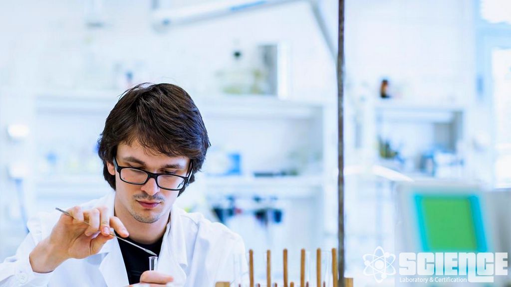 Kuruyemiş ve Kuru Meyve Testi