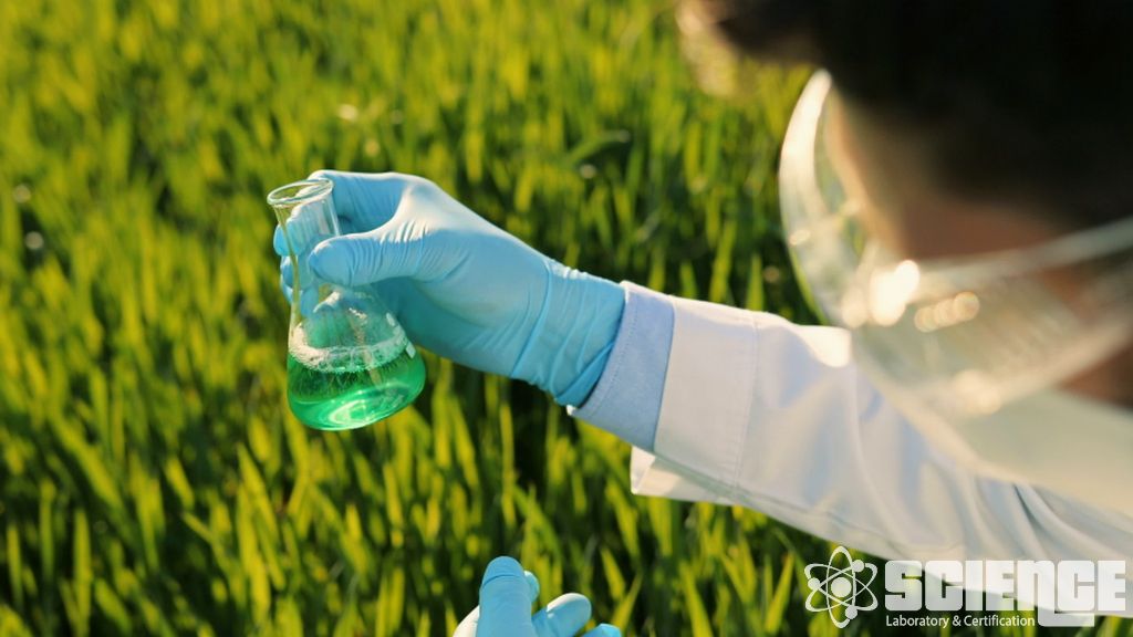 Kuş Ekotoksikolojisi Testi