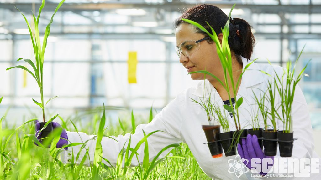 Kuş Güvenliği Hizmetleri