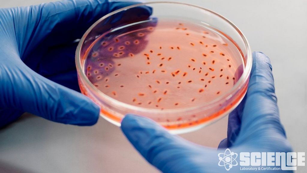 Laboratuvar Su Testi