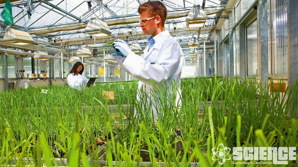 Mahsul Denetimi Testleri