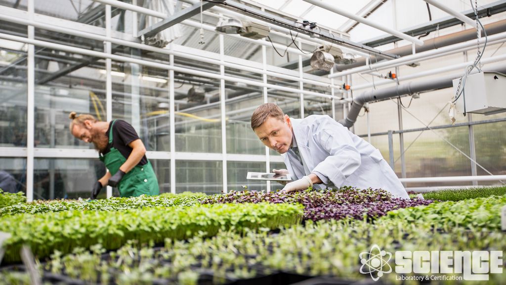 Mahsul Sağlığı Testi