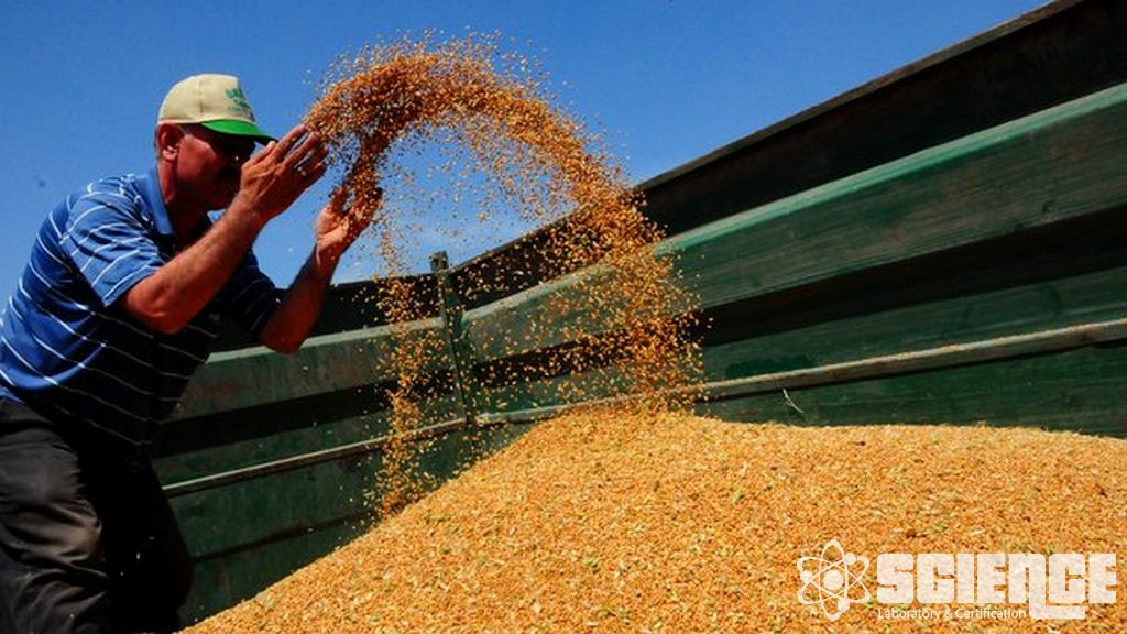 Mahsul Üretim Testi