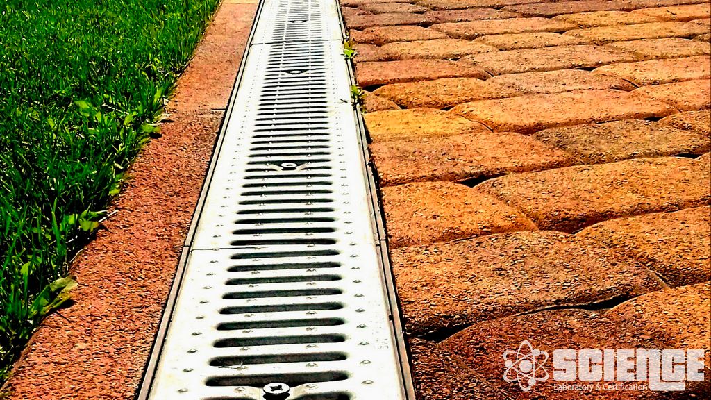 Metabolizma ve E-Kader Çalışmaları