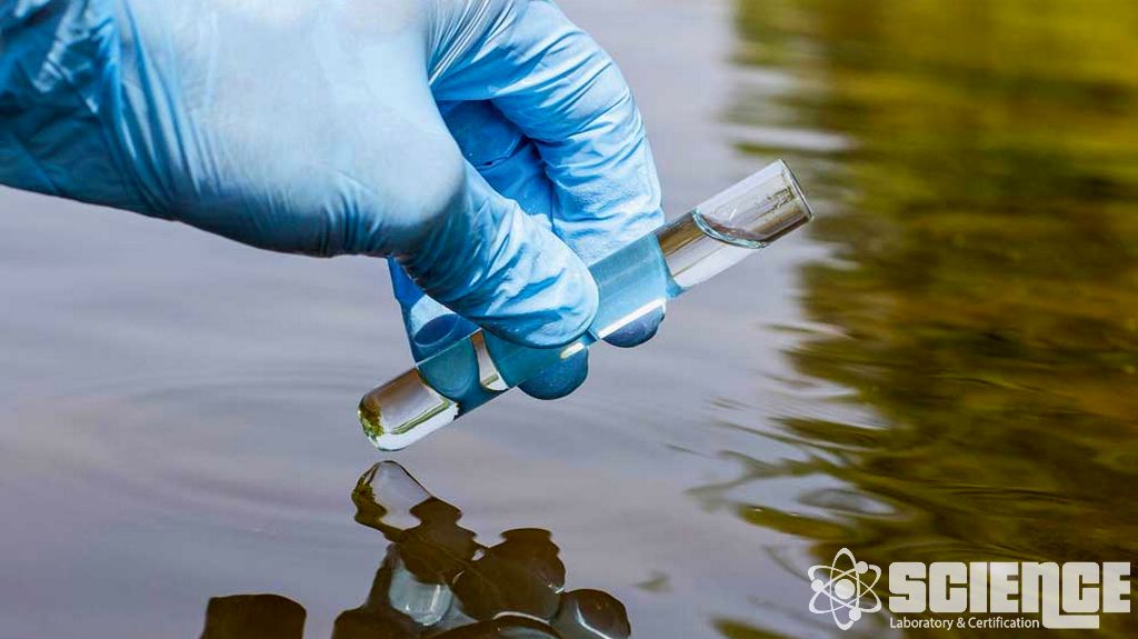 Metaller ve İnorganik Testler