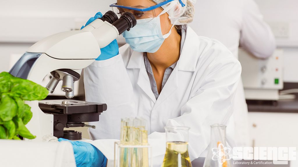 Mikotoksinler için Analizler