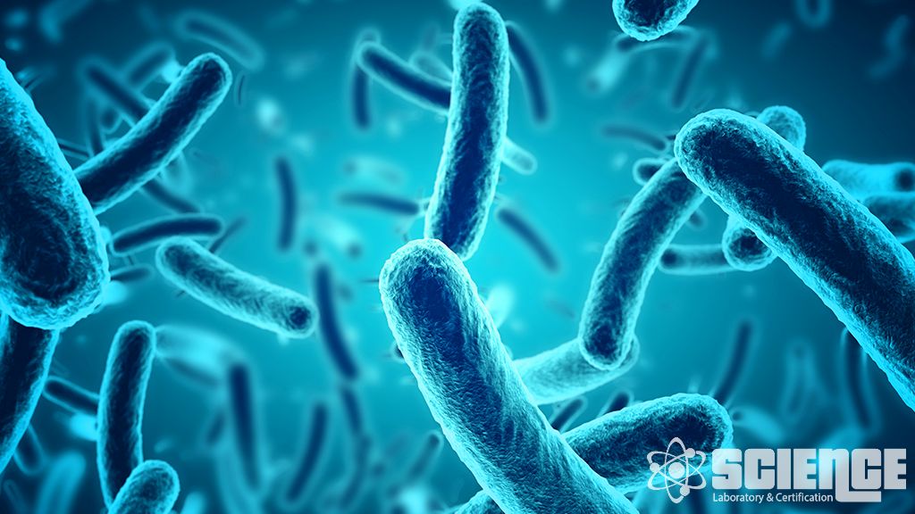 Mikrobiyal Tanımlamalar