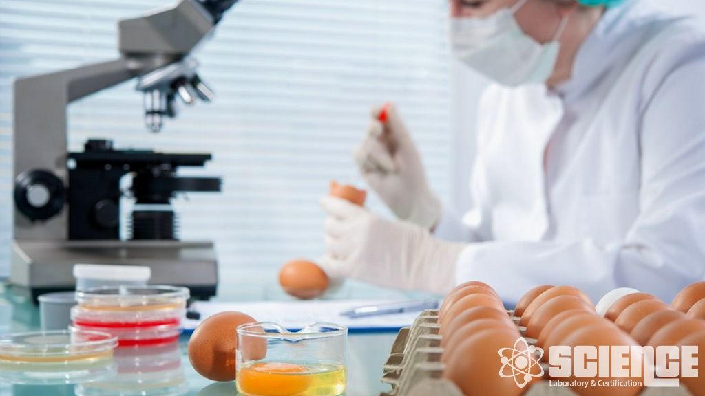 Mikrobiyoloji Gıda Testleri