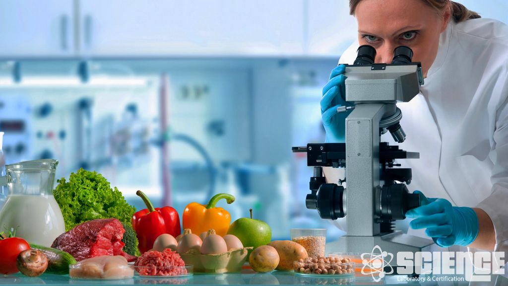 Mikrobiyoloji ve Doğrulama