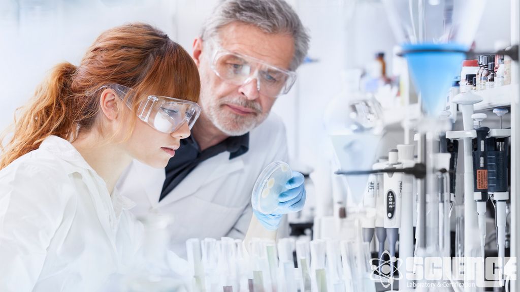 Organik Kimya Laboratuvarları