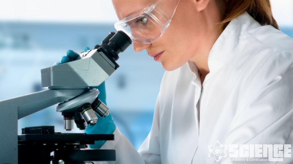 Orijinallik Testi ve Gıda Sahteciliği Tespiti