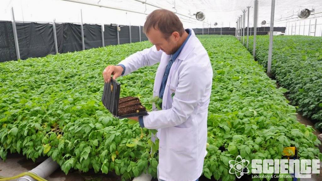 Ormancılık Testleri