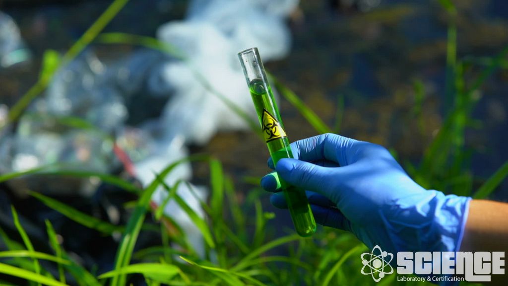 Örnek Türleri Testleri