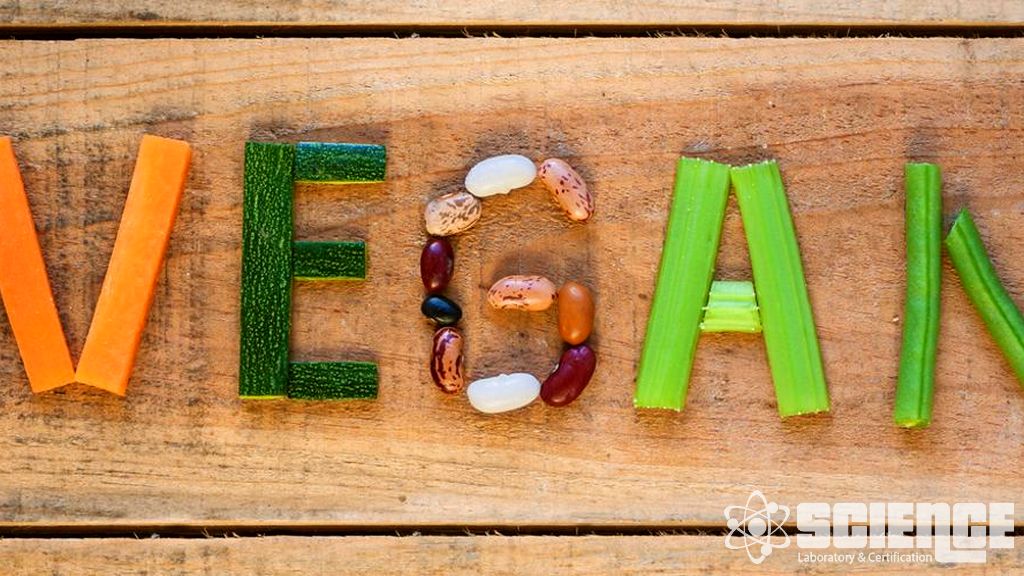 Oyuncak Vegan Doğrulaması Testleri