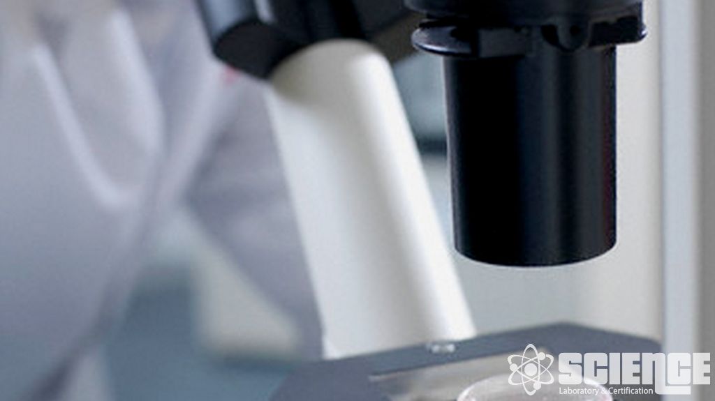 Özgünlük Testleri