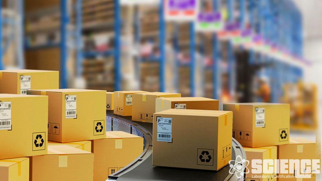 Paketleme Yapısı Tanımlama Testi