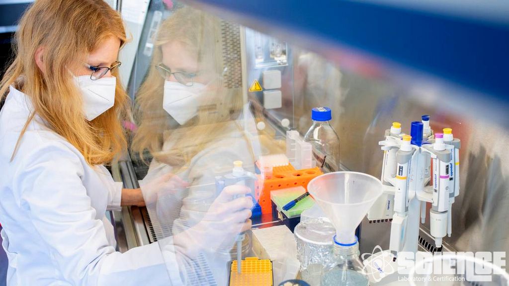 Parçacık Boyutu Testleri