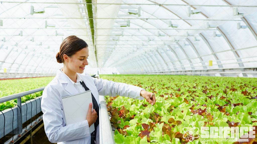 Pestisit Kalıntı Çalışmaları