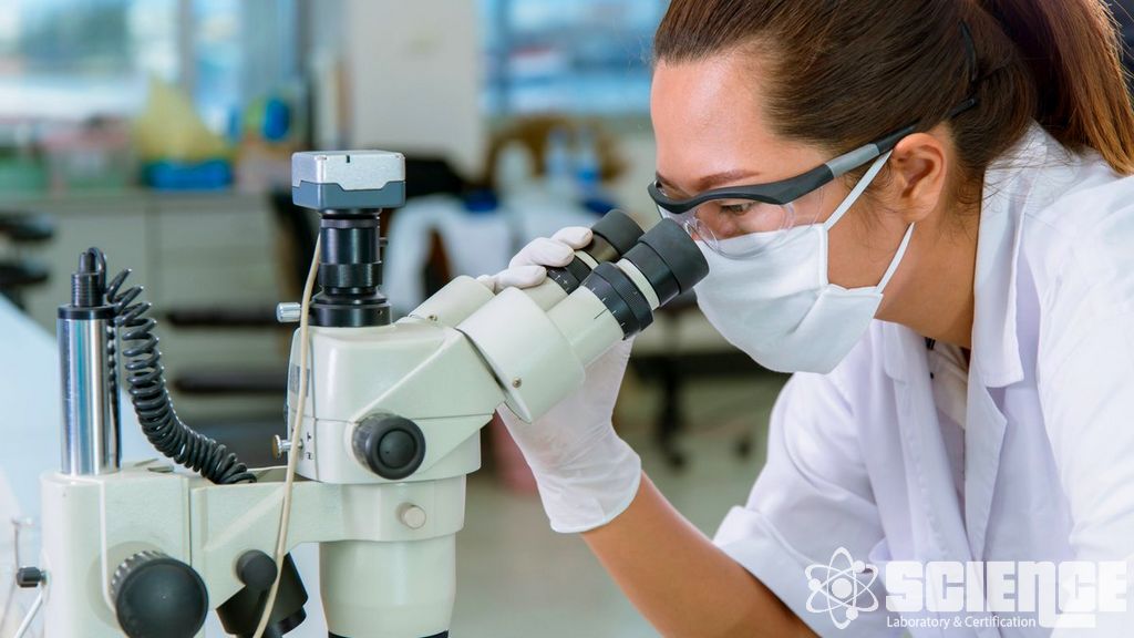 Polimerik Arıza Analizi