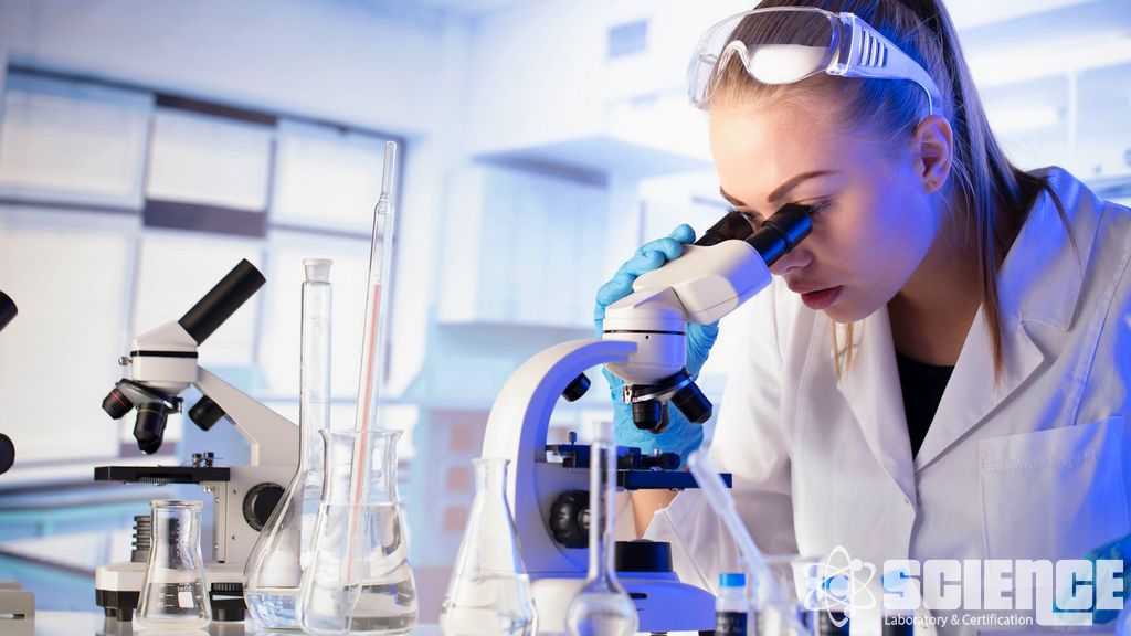 Probiyotiklerde Prebiyotikler ve Kirletici Maddeler Testi