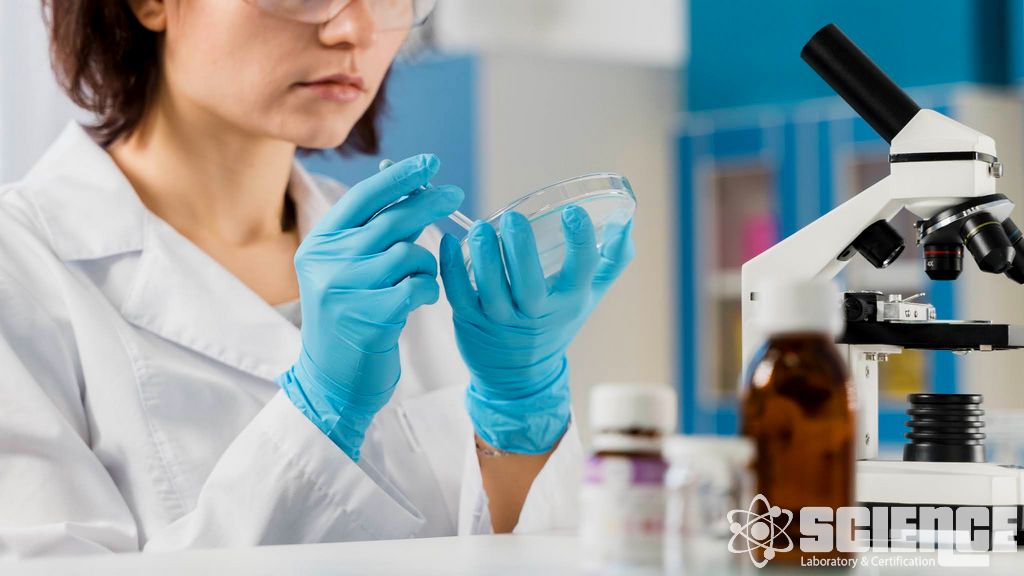 Raf Ömrü Çalışmaları