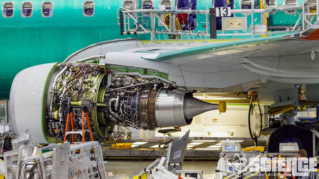 RTCA DO-160 Bölüm 13.0 Mantar Testi