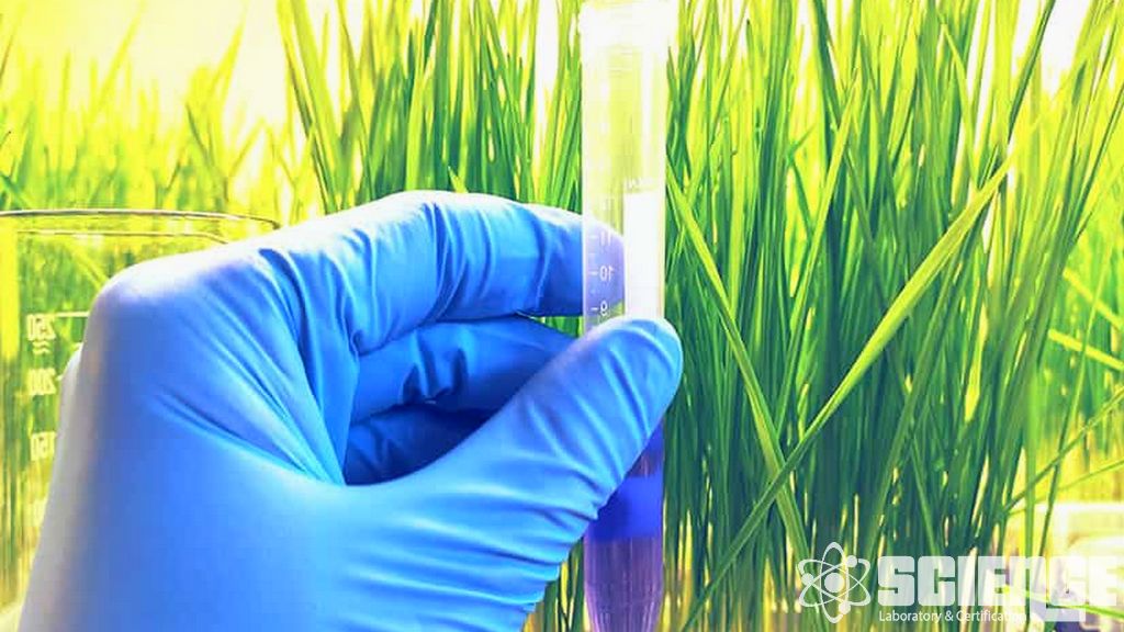 Wind Turbine Blade Test