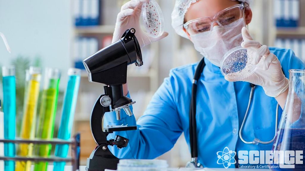 Sağlık ve Beslenme Analizleri