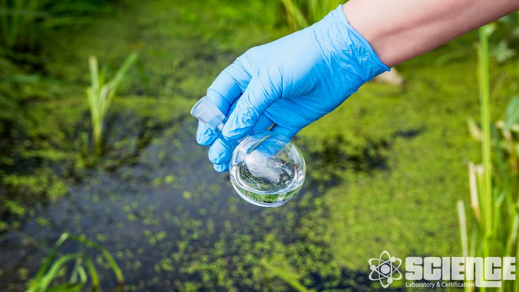 Sismik Test - AC 156 Testi