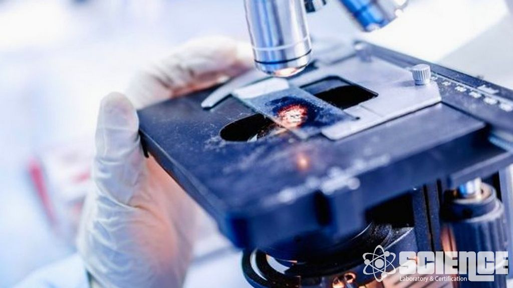 Sıvı Duyarlılık Testi