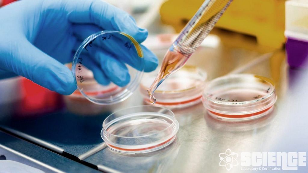 Sıvı Oral Dozaj Formları