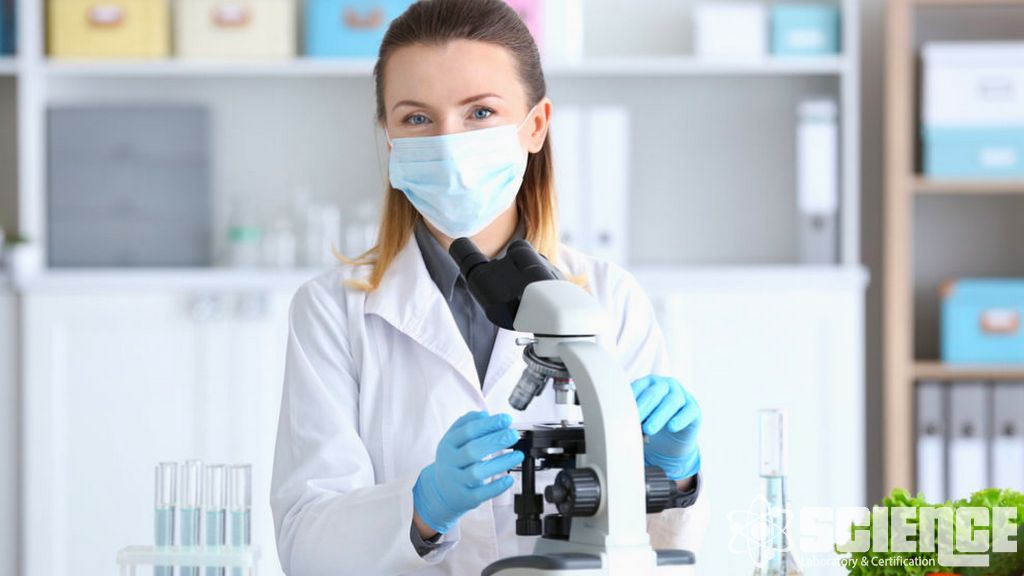 Soğutulmuş ve Dondurulmuş Gıdalar Test Hizmetleri