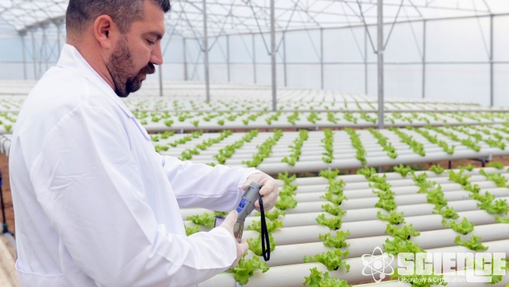 Soliter Arı, Yarı Tarla ve Alan Testi