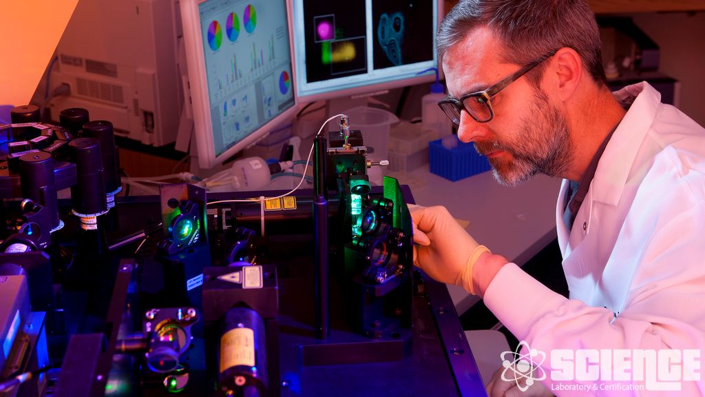 Sonlu Eleman Gerilme Analizi