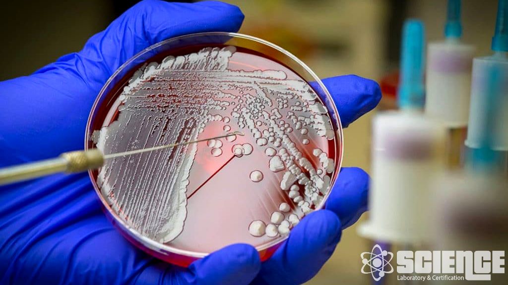 Sterilizasyona Maruz Kalma Döngüleri