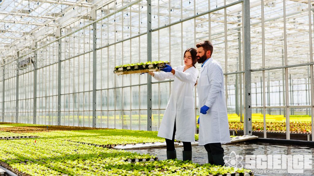 Su Canlıları Analizi