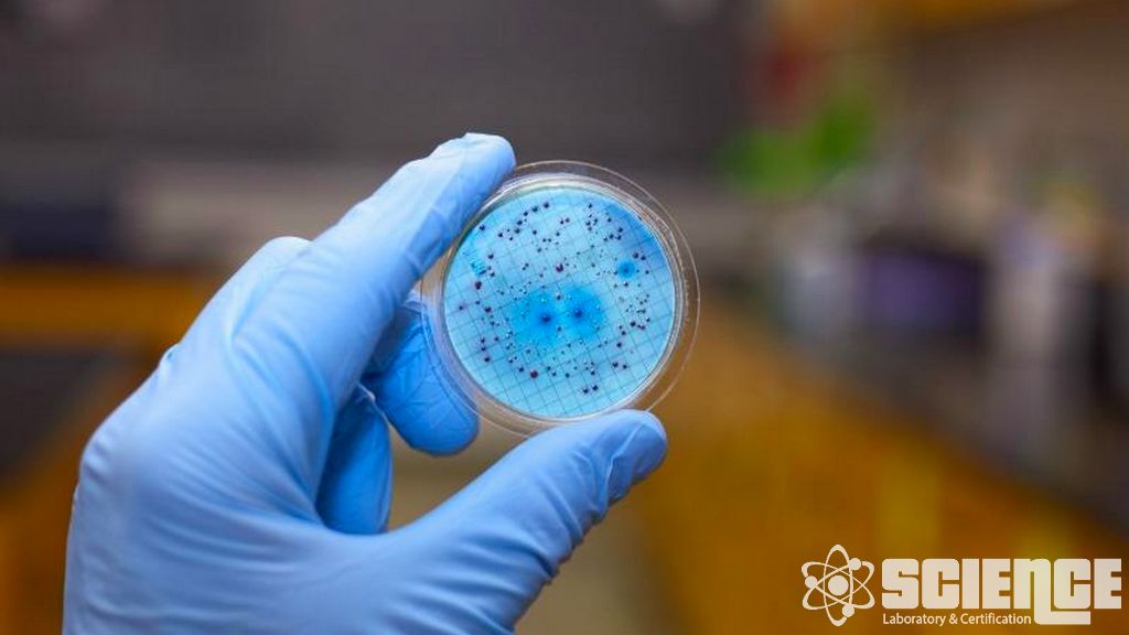 Su Sistemi Validasyonları Testi