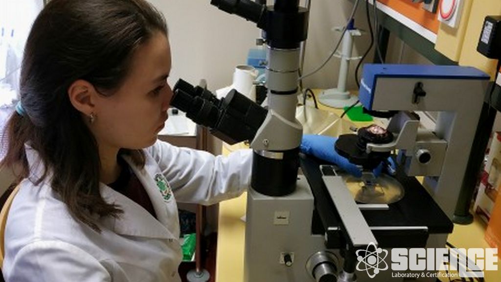 Klassik odamning tepasida porno jinsiy aloqa