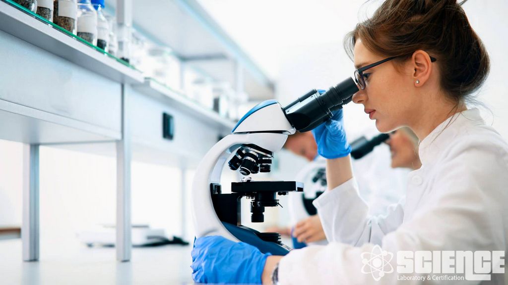 Süt Ürünleri ve Yumurtalar