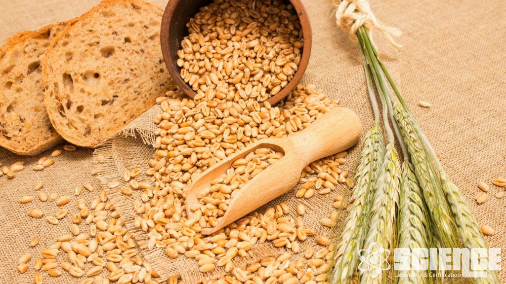 Tahıllar, Yemler ve Yağlı Tohumlar için Testler