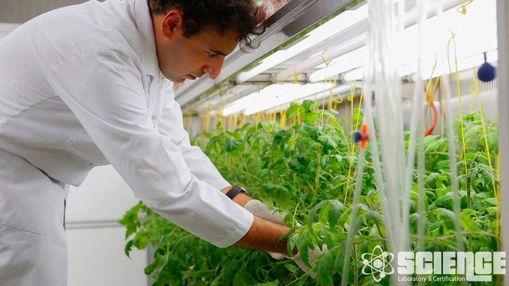 Taksonomi Organizma Tanımlama ve Adlandırma Analizleri