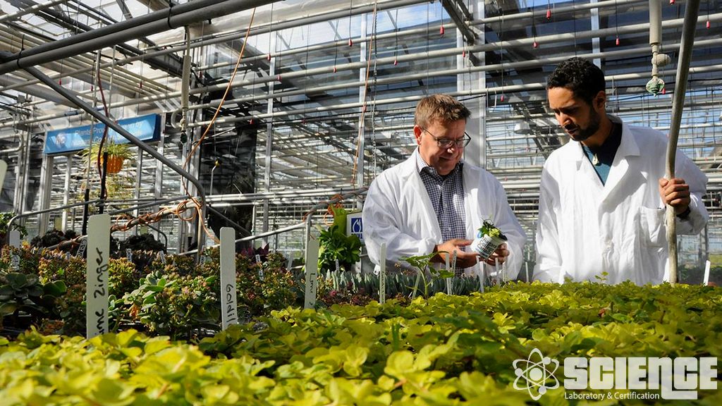 Tarım ve Ormancılık Testleri