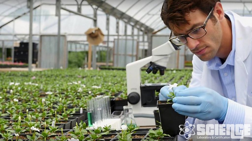 Tarımsal ve Çeşit Değerlendirme