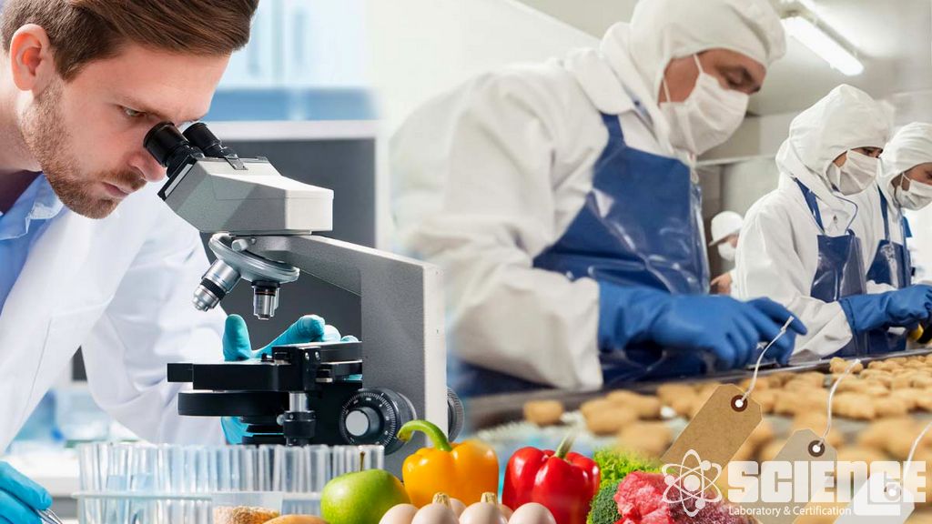 Taze Gıdaların Sıcaklık İzleme ve Geçişi