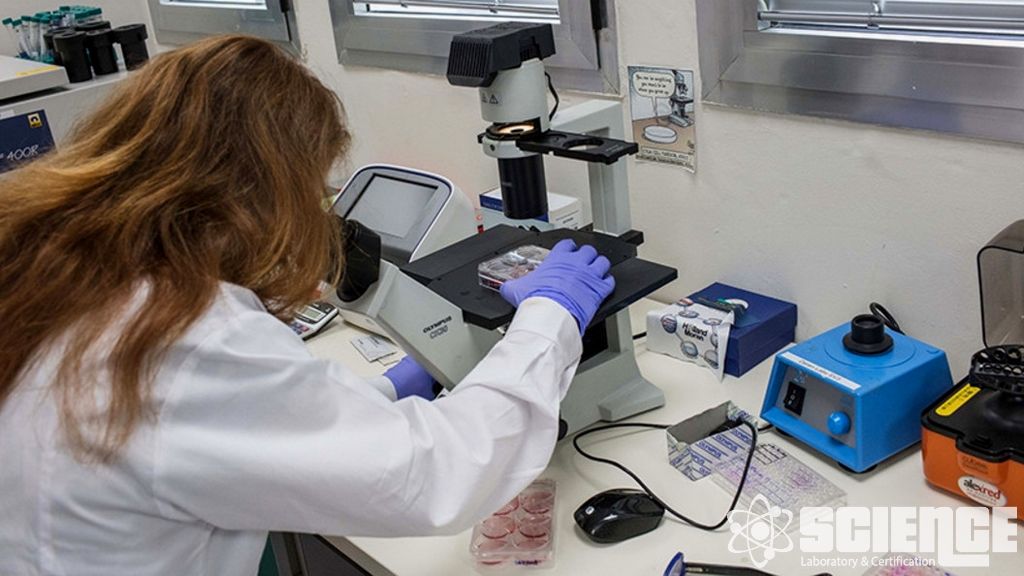 Temizleme Doğrulaması – Yeniden Kullanılabilir Cihazlar